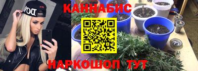 твердый Лесосибирск