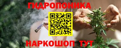 твердый Лесосибирск